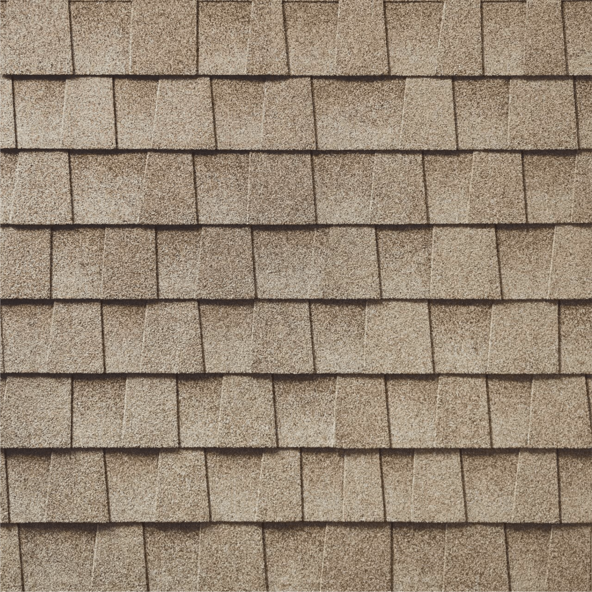 Wisdom Roofing Images
