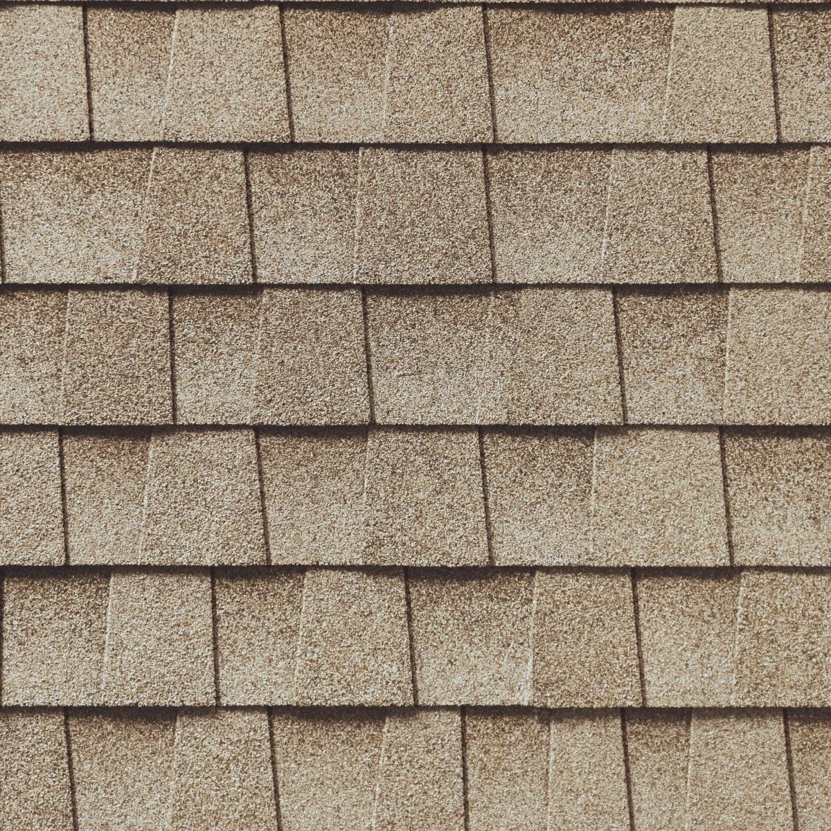 Wisdom Roofing Images