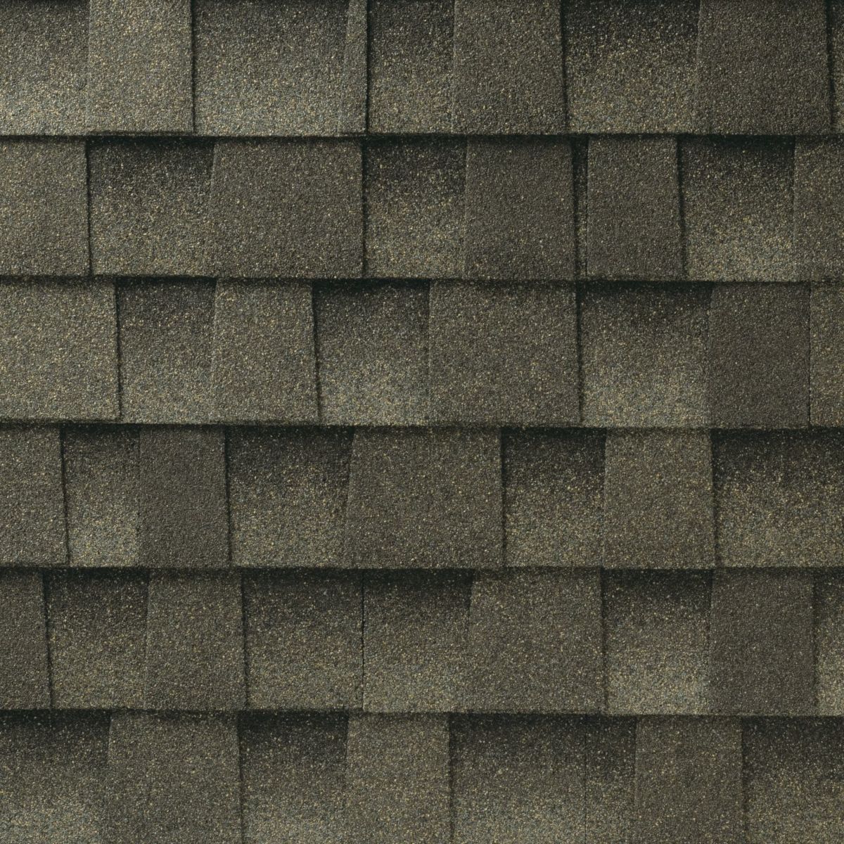 Wisdom Roofing Images