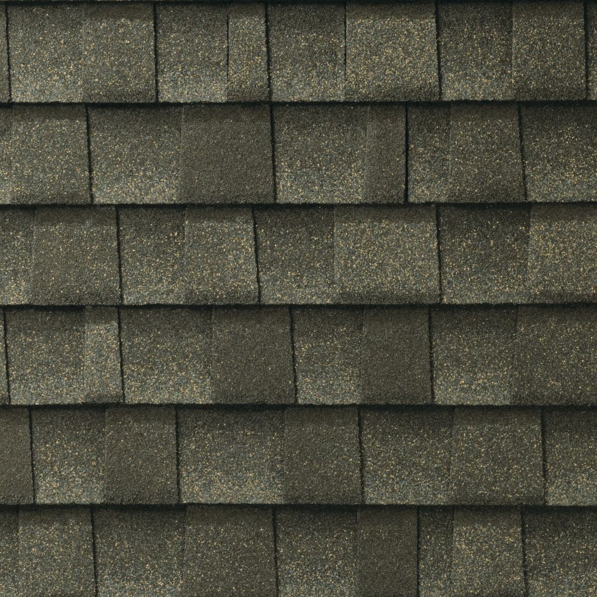 Wisdom Roofing Images