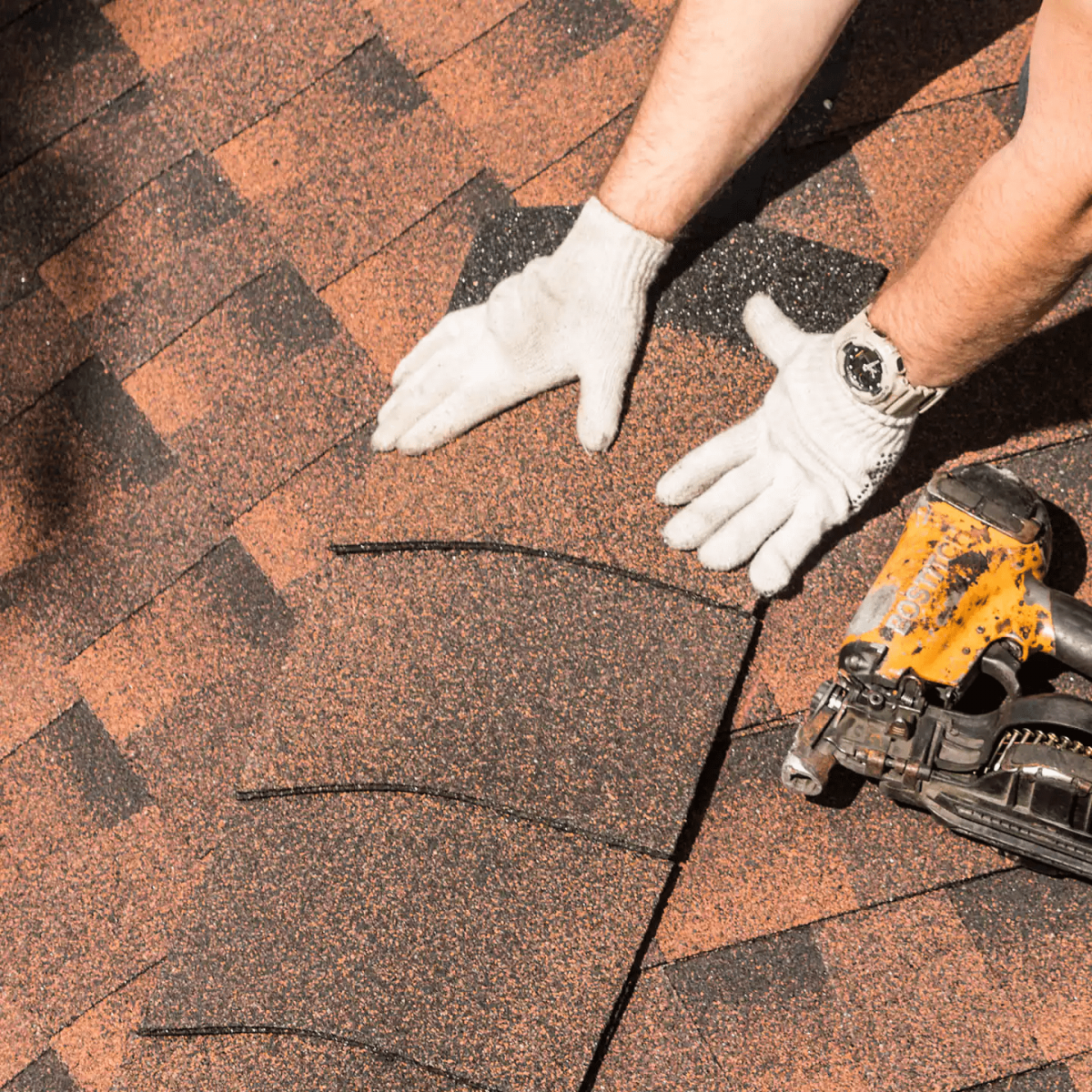 Wisdom Roofing Images