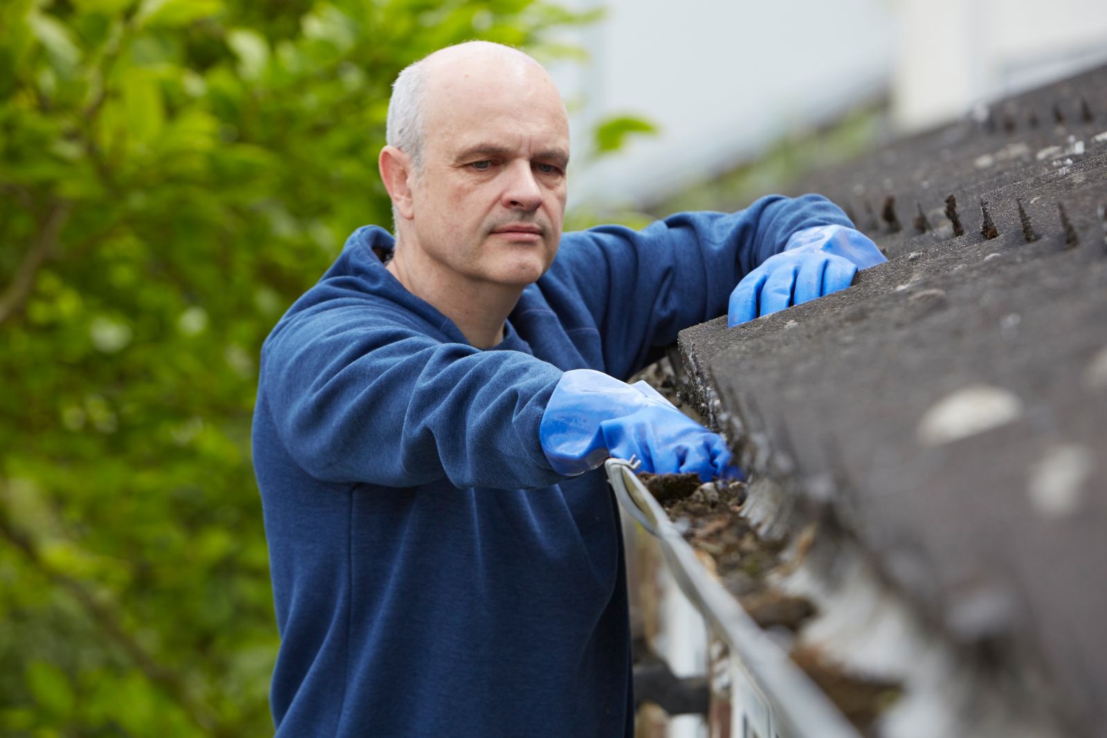 Wisdom Roofing Images