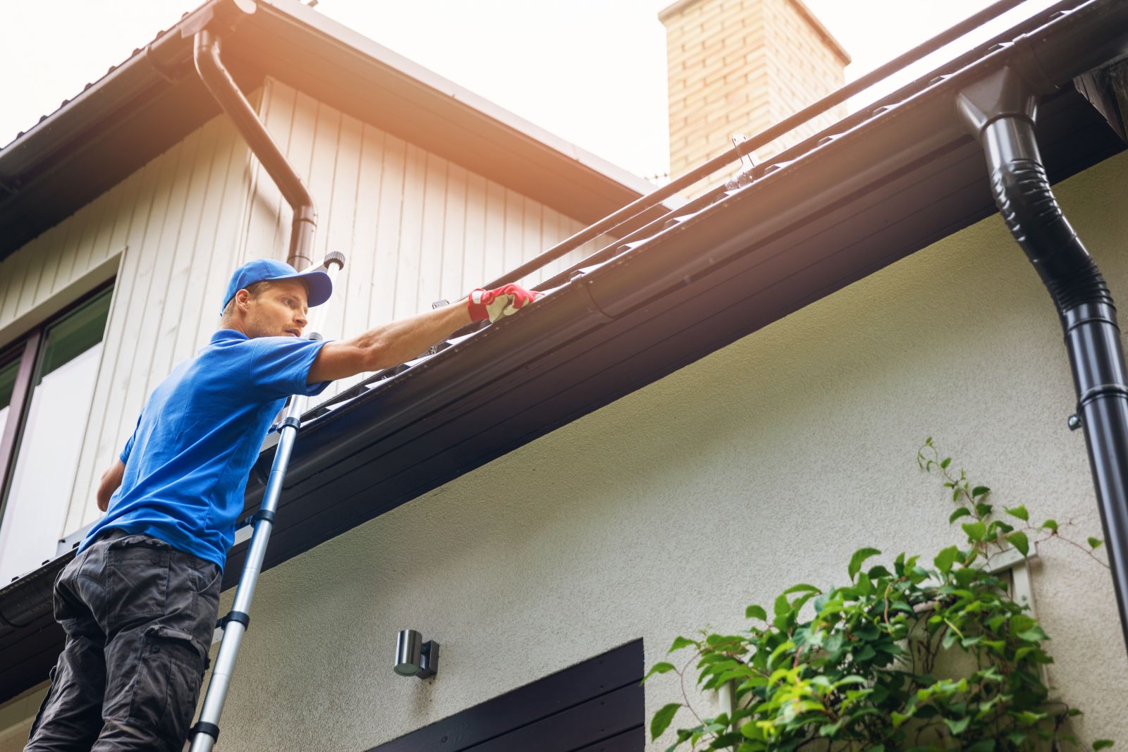 Wisdom Roofing Images