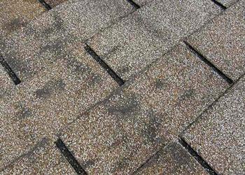 Wisdom Roofing Images
